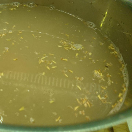 eau lors du trempage de l'épeautre