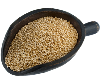 combien faire cuire le quinoa