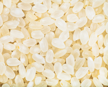 combien faire cuire le riz italica