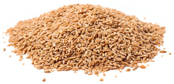 combien faire cuire les céréales d'épeautre