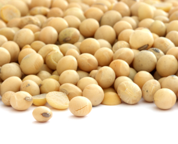 Purée combien faire cuire le haricot mungo