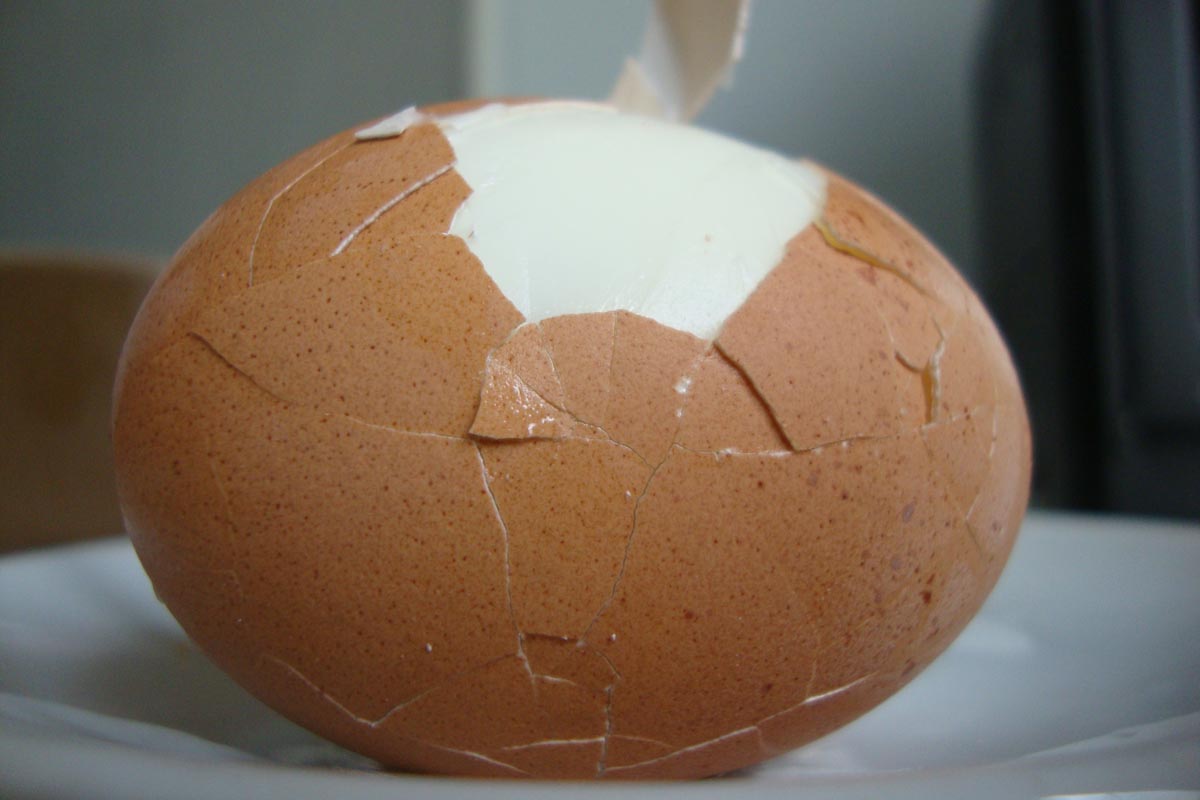 casser la coquille d'oeuf