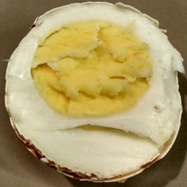 Si vous faites bouillir un œuf pendant 10 minutes.