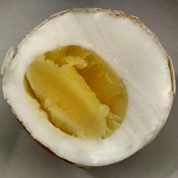 Comment faire bouillir un œuf dans un sac