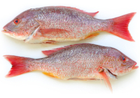 comment faire cuire le poisson