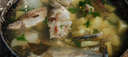 combien cuire le poisson