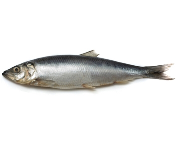 combien cuire le hareng