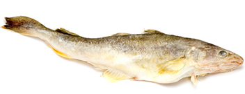 Navaga combien cuire navaga