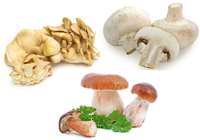 comment faire cuire les champignons et combien