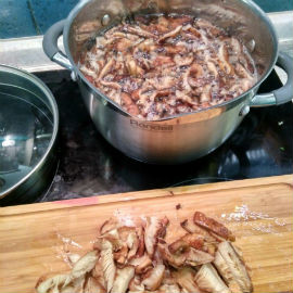 processus d'ébullition au miel agaric