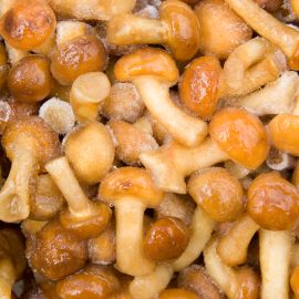 champignons surgelés
