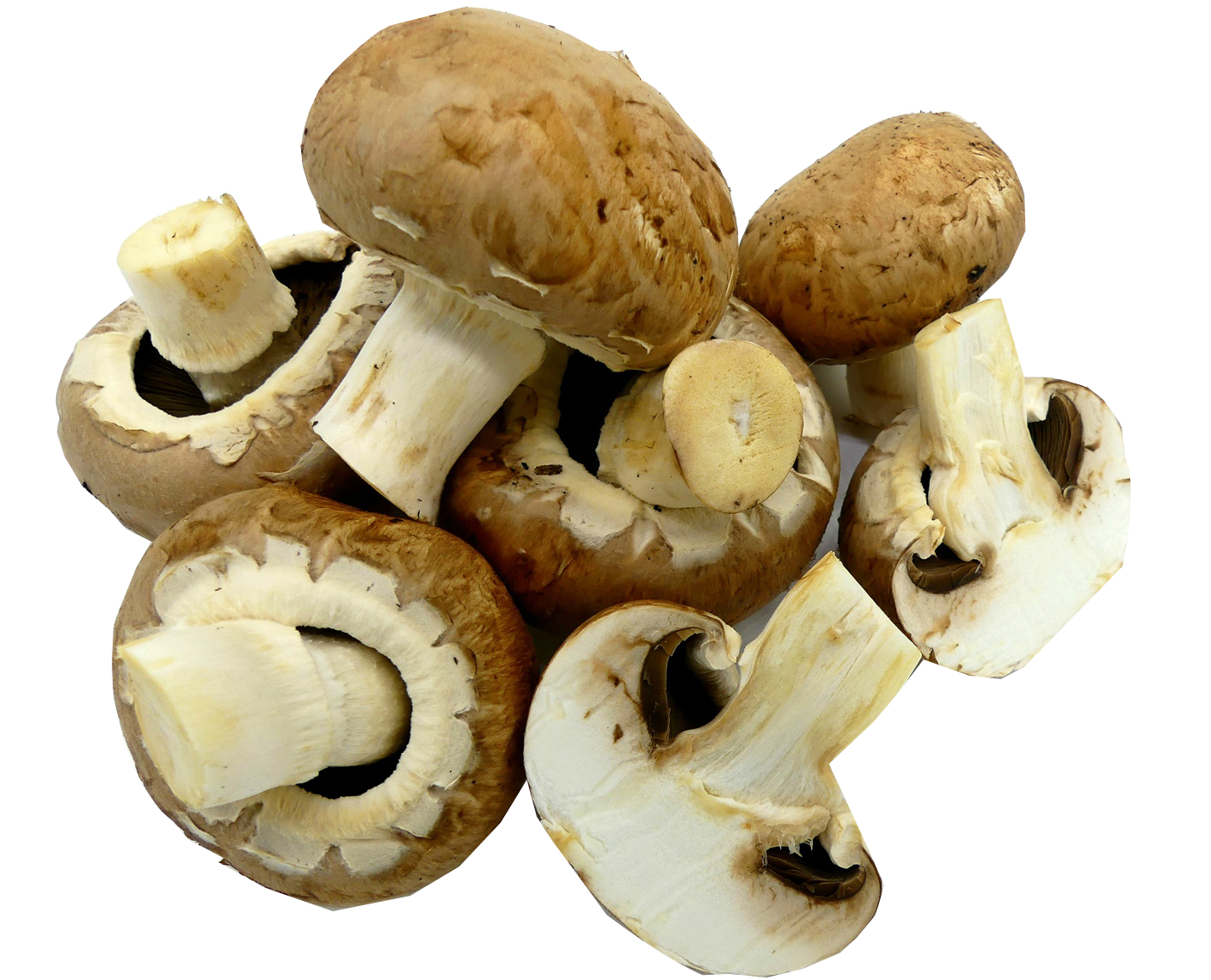 champignons faire cuire des champignons