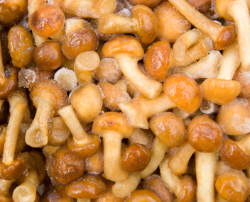 champignons surgelés
