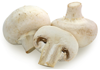 champignons