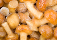 champignons surgelés