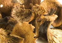 champignons séchés