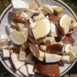 trier, éplucher et couper les cèpes