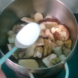 champignons porcini salés