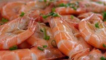 ajouter du sel aux crevettes