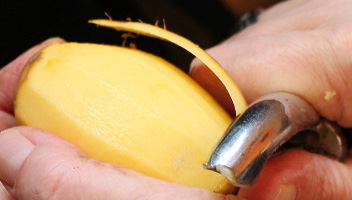 quelles pommes de terre sont plus saines