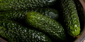 air garam telah menjadi keruh apa yang perlu dilakukan