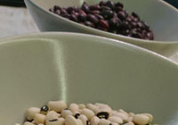 quels haricots sont plus sains