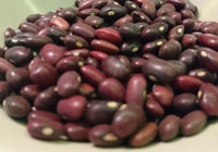 pas trempé les haricots