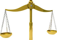 proportions de haricots