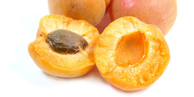 coltiviamo albicocche