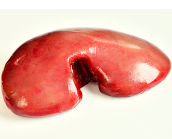 rognons de porc combien faire cuire les rognons de porc