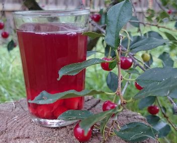 compote de cerises compote de cerises