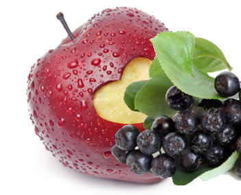 compote de pommes et de mûres