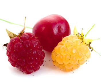 comment faire cuire la compote de cerises et de framboises