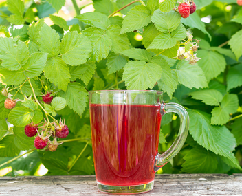 compote de framboises