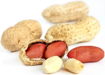 cacahuète combien faire cuire les arachides