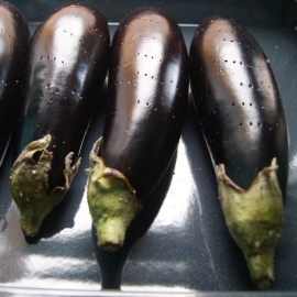 aubergine hachée