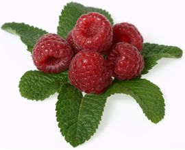 framboises fraîches