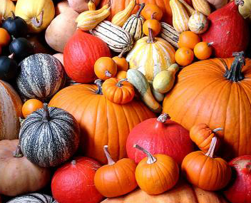 faire cuire la confiture de potiron