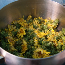 confiture de pissenlit