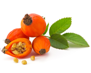 faire cuire de la confiture d'églantier