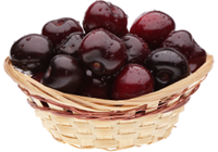 récolte des cerises