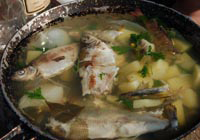 comment faire cuire l'oreille