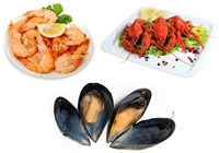 comment faire cuire les fruits de mer