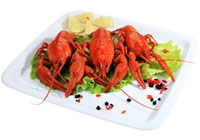 faire cuire des écrevisses