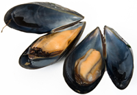 moules