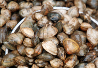 vongole