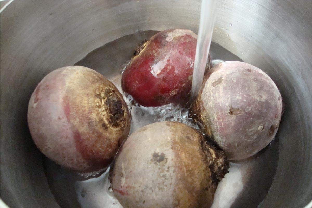 verser de l'eau sur les betteraves