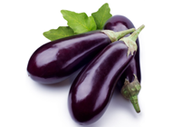 aubergine