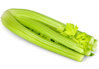 céleri