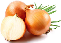 oignon
